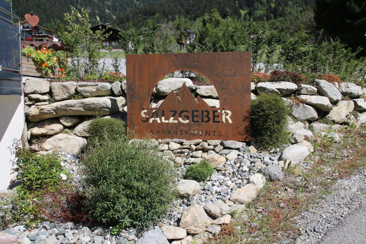 Salzgeber Appartements Sankt Gallenkirch Kültér fotó